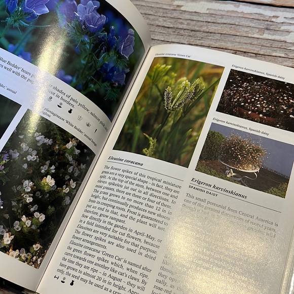 The Complete Encyclopedia Of Summerflowers - Picture 8 of 11